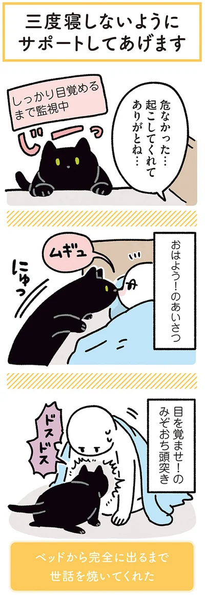 起こしてくれてありがとね…