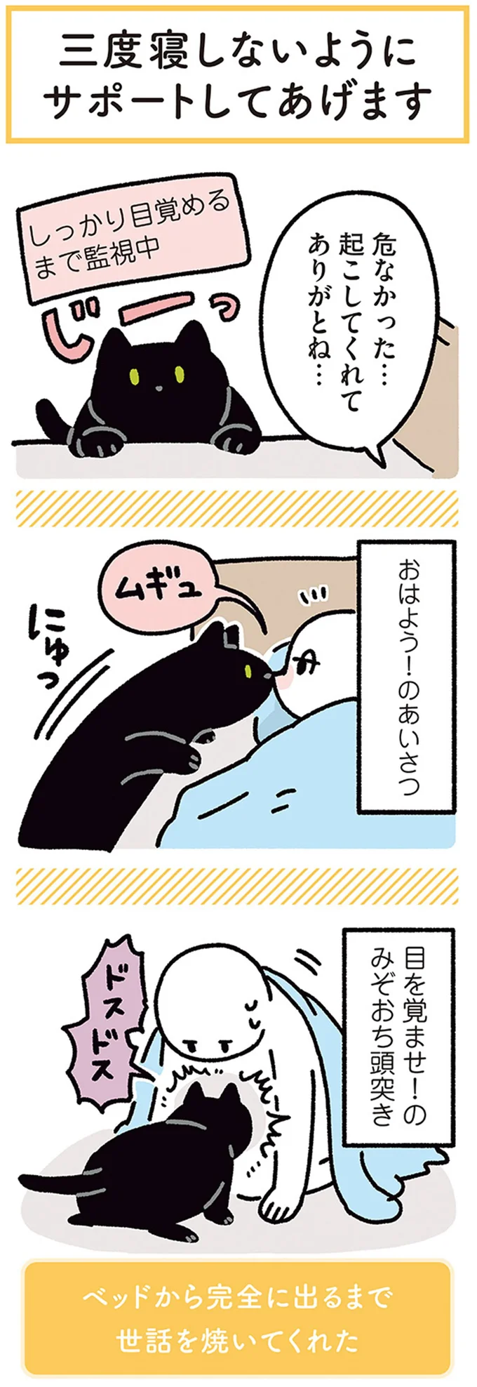 起こしてくれてありがとね…