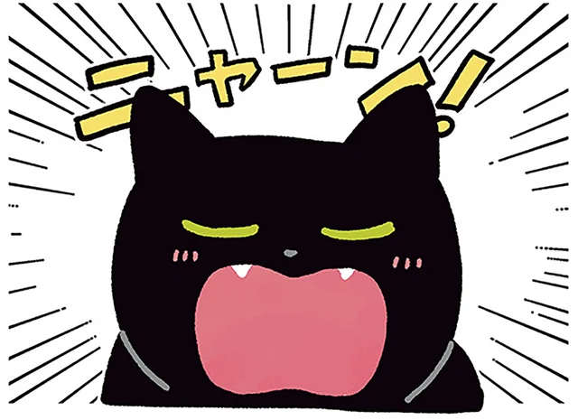 「ニャーン！」寝ている飼い主にもしっかり報告する黒猫ろん／黒猫ろんと暮らしたら4（13）
