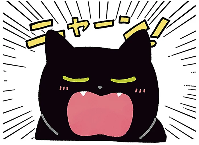 「ニャーン！」寝ている飼い主にもしっかり報告する黒猫ろん／黒猫ろんと暮らしたら4（13）