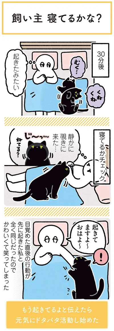 静かに覗きに来た…