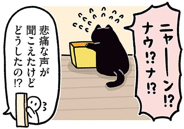 悲痛な声で駆けつけた飼い主。黒猫ろんが一生懸命声をかけていた相手とは／黒猫ろんと暮らしたら4（15）