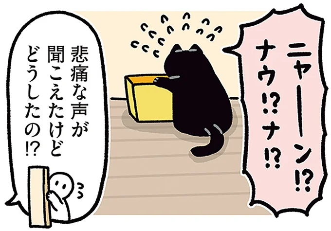 悲痛な声が聞こえたけどどうしたの!?