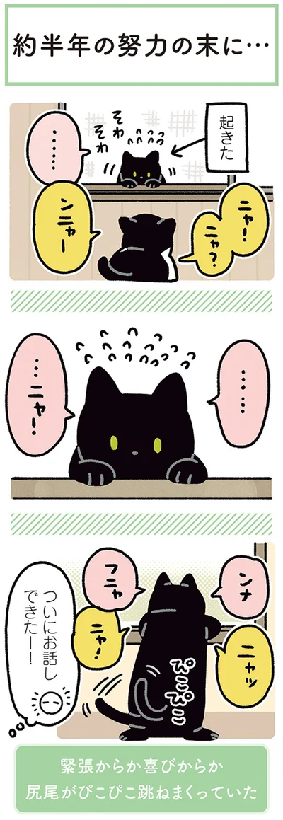 ついにお話できたー！