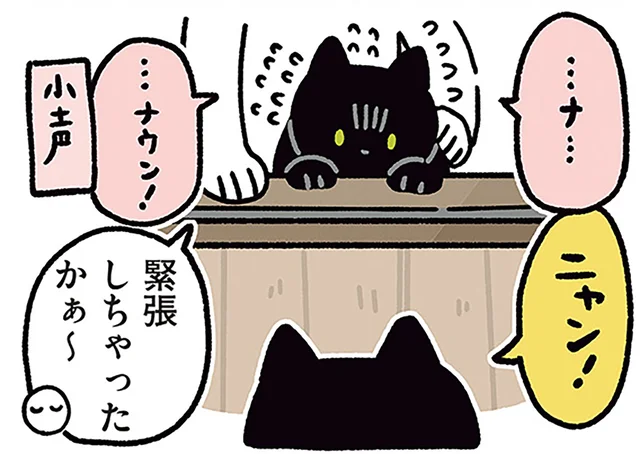 いざ対面すると緊張？ノラネコさんと友だちになりたい黒猫ろん／黒猫ろんと暮らしたら4（18）
