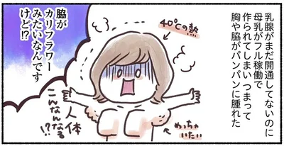  『33歳ママ、乳がんステージ3でおっぱいにサヨナラします 寛解までのポジティブ闘病記』より