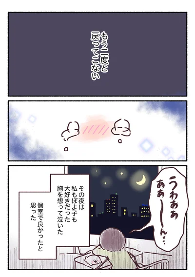 『33歳ママ、乳がんステージ3でおっぱいにサヨナラします 寛解までのポジティブ闘病記』より