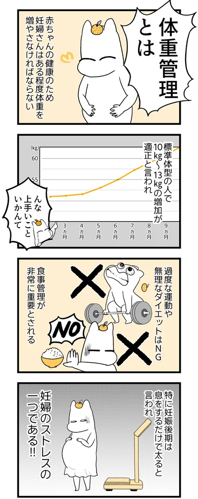 妊婦のストレスの一つである！！