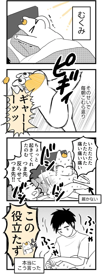 ギャーーーッッ