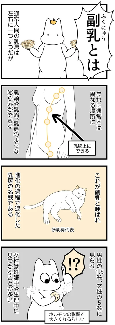 副乳とは