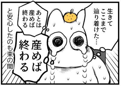 産めば終わる