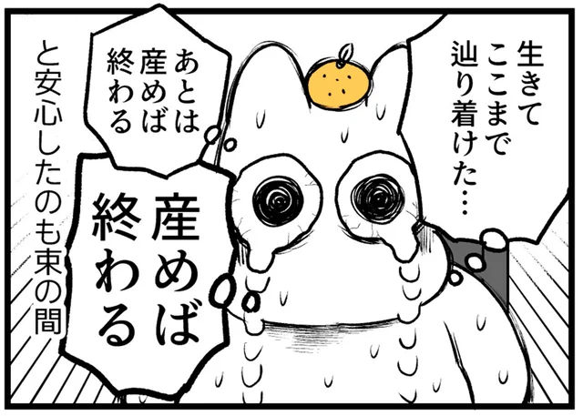 「あとは産めば終わる」と安心したのも束の間。陣痛室激混みで!?／つわりが怖くて2人目に踏み切れない話（21）