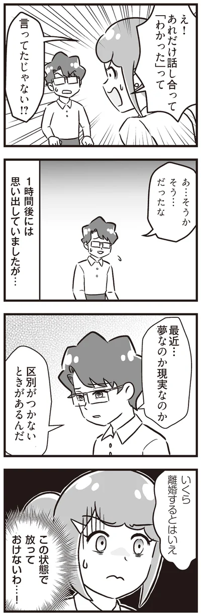 『嫁ぎ先が全員めんどくさい ～私が夫と離婚した理由～』より