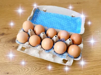 これが、1玉300円超のたまご！