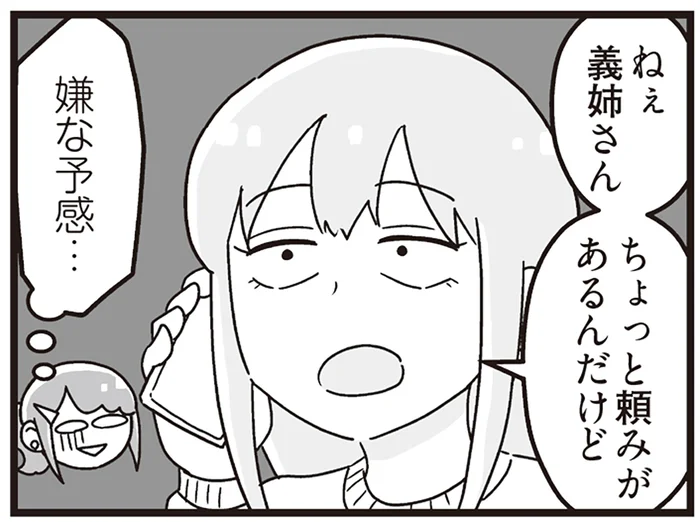 「義姉さん、頼みがあるの」手がつけられないほど自己中な義妹のお願いとは／嫁ぎ先が全員めんどくさい2（11）