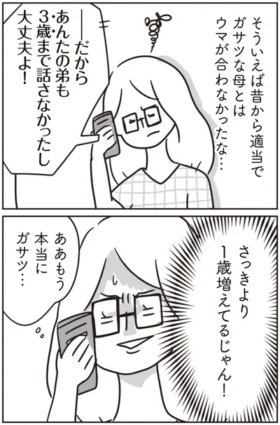 適当でガサツな母