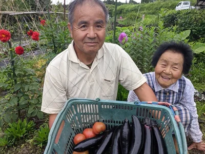 親子代々でこだわりの野菜を作り続ける宮崎の農家さん
