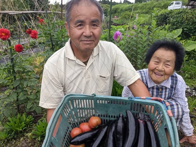 親子代々でこだわりの野菜を作り続ける宮崎の農家さん