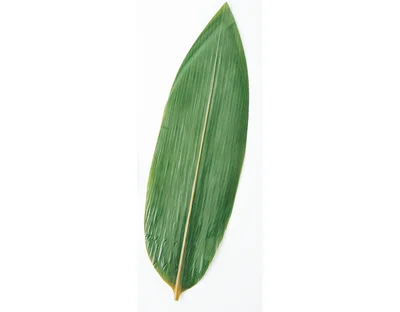 立体感の出せる笹