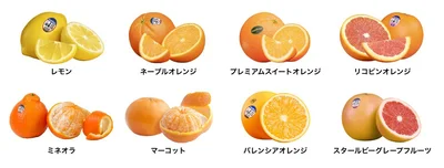 お好みの柑橘でキャンペーンに参加しましょう