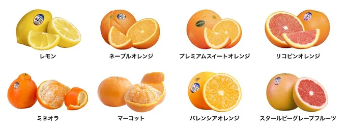 お好みの柑橘でキャンペーンに参加しましょう