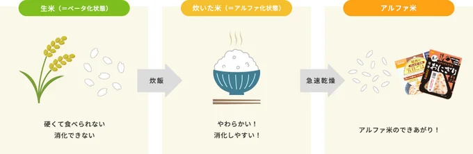 <アルファ米とは?>アルファ米とは、炊きたてごはんのおいしさを保ったまま急速乾燥させたお米。炊いたご飯を急速かつ水分をコントロールしながら乾燥させると「アルファ化」状態を保つことができます