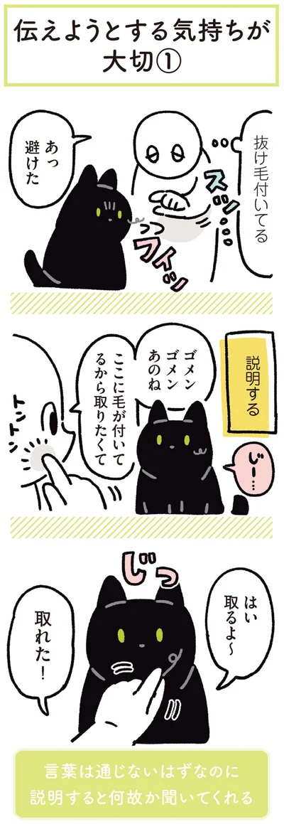 『黒猫ろんと暮らしたら5』より