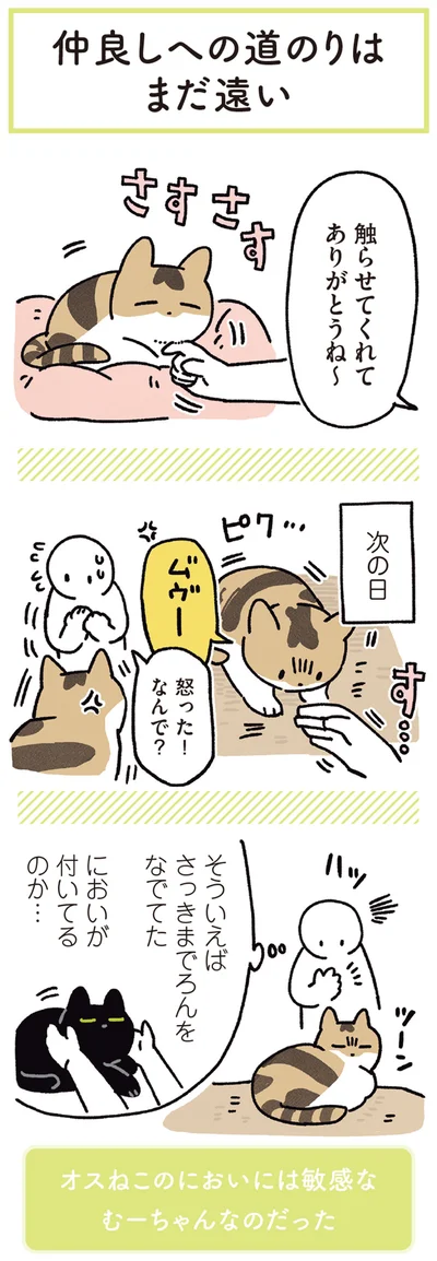 『黒猫ろんと暮らしたら5』より