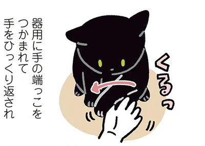 器用に手の端っこをつかまれて手をひっくり返される
