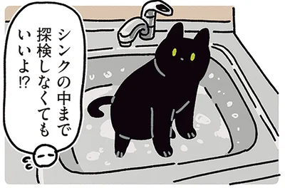 シンクの中まで探検しなくてもいいよ！？