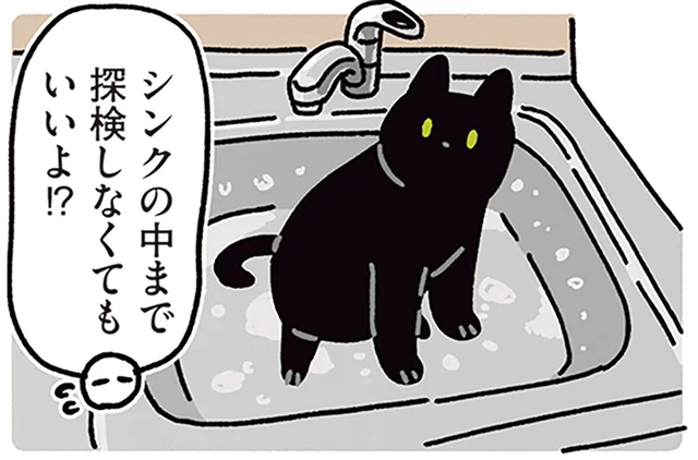 部屋のいたるところを探検続行！黒猫ろんのお引っ越し／黒猫ろんと暮らしたら5（3）