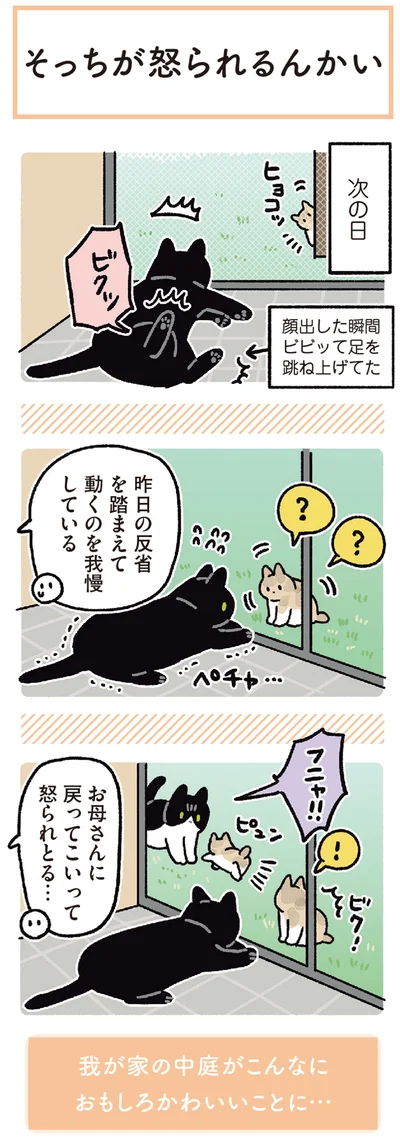 昨日の反省を踏まえて動くのを我慢している