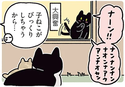 子ねこがびっくりしちゃうから…