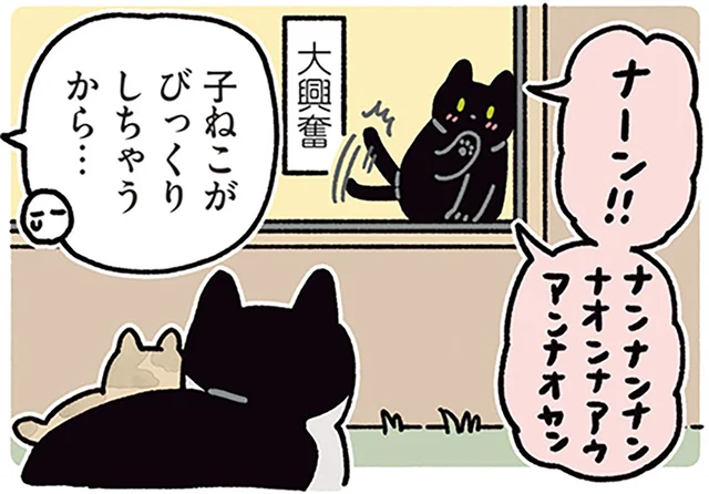 黒猫ろんが大興奮！大好きなノラネコさんが赤ちゃんを連れてきた日／黒猫ろんと暮らしたら5（4）
