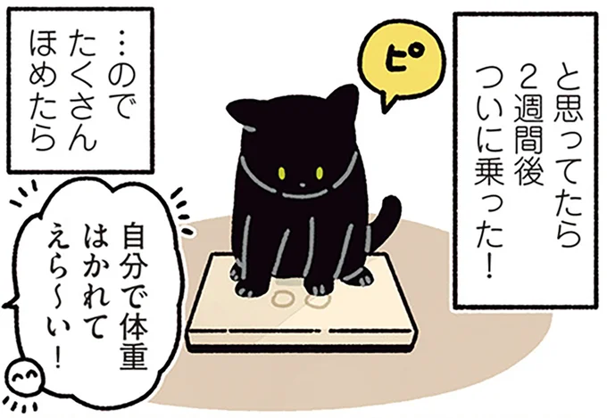 たくさんほめたら…