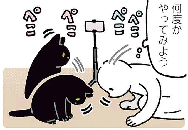 飼い主のおじぎに合わせる黒猫ろん。自撮りカメラで確かめてみた！／黒猫ろんと暮らしたら5（7）