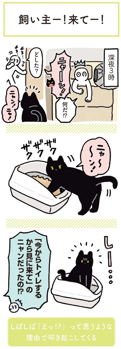 なんだ！？どした？