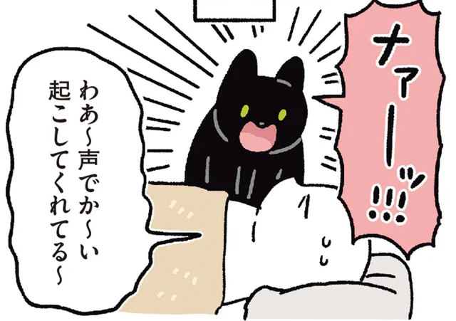 「明日の朝起こしてね」飼い主のリクエストに全力で応える黒猫ろん／黒猫ろんと暮らしたら6（1）