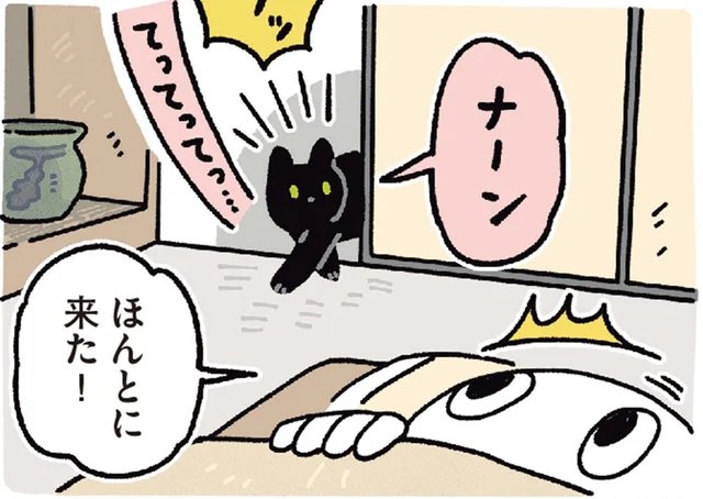 「起こしておいでよ」「ナーン」祖母からの使者・黒猫ろん／黒猫ろんと暮らしたら6（2）