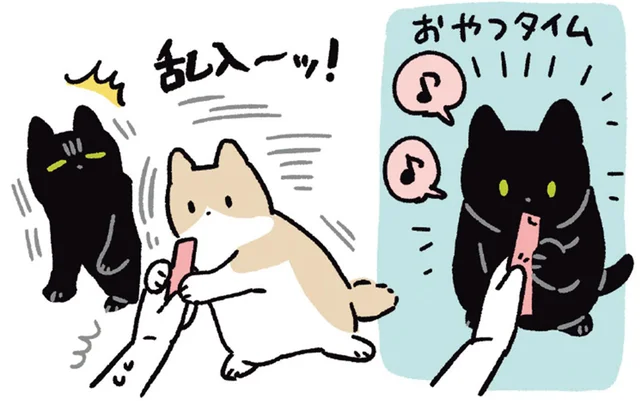 おやつタイムに新しい猫が乱入！黒猫ろんの優しい反応