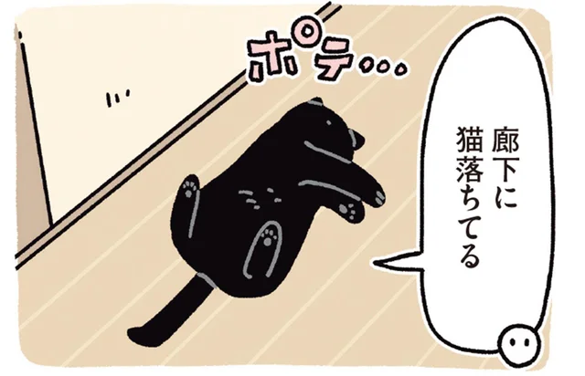 「夏が来たって感じ」飼い主がほっこりする黒猫ろんのくつろぎ姿
