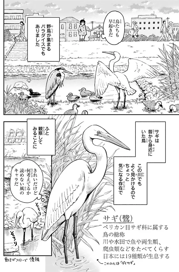 鳥たちも早起きだ