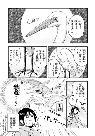 おお......見える！