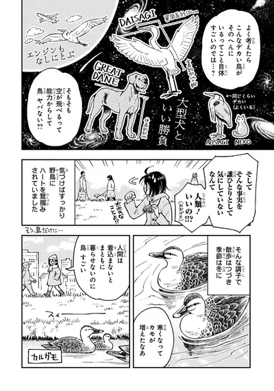 気づけばすっかり野鳥にハートを鷲掴みされていました