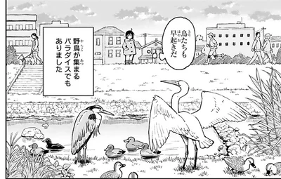 早起きで新たな発見!? 近所の川辺で出会った「ちょっと気になる存在」