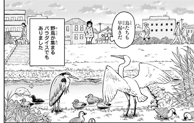 早起きで新たな発見!? 近所の川辺で出会った「ちょっと気になる存在」／まいにち鳥びより（1）