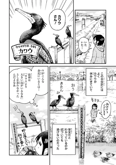 『まいにち鳥びより』より