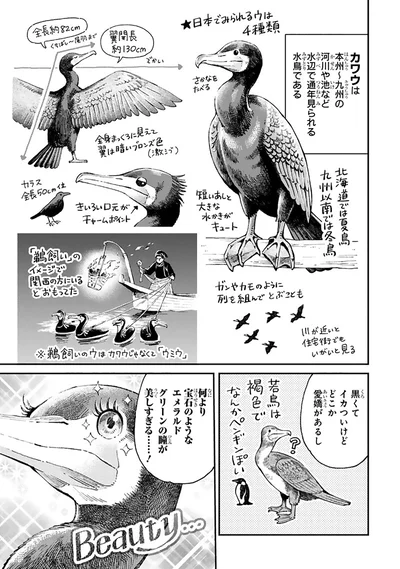 『まいにち鳥びより』より