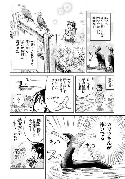 『まいにち鳥びより』より
