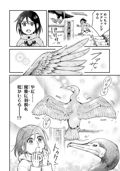 『まいにち鳥びより』より